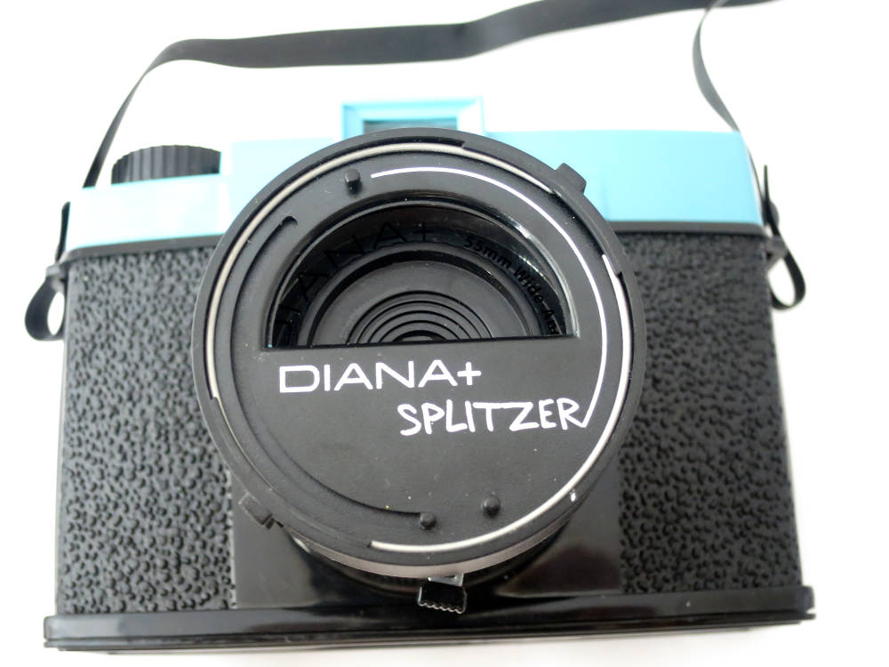 jpg/diana_f_splitzerIMG_6836.JPG