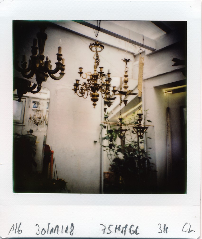 jpg/diana_instant_square_IMG_20181130_1006.jpg