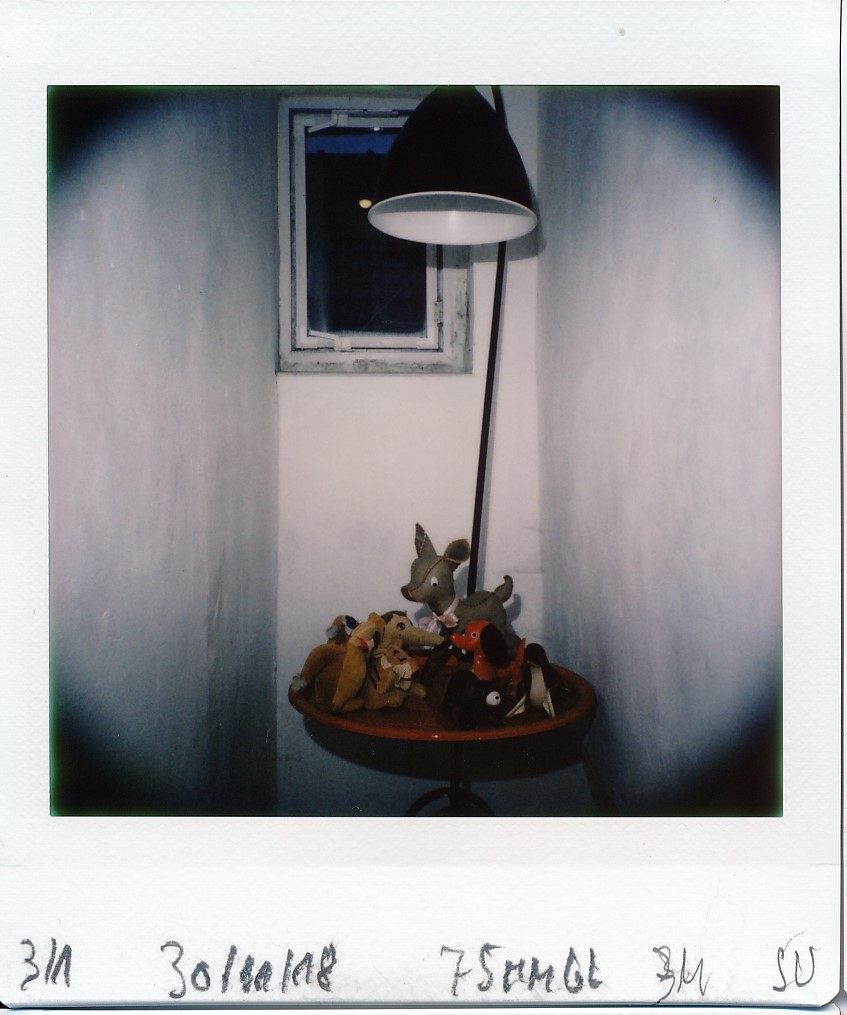 jpg/diana_instant_square_IMG_20181130_3001.jpg