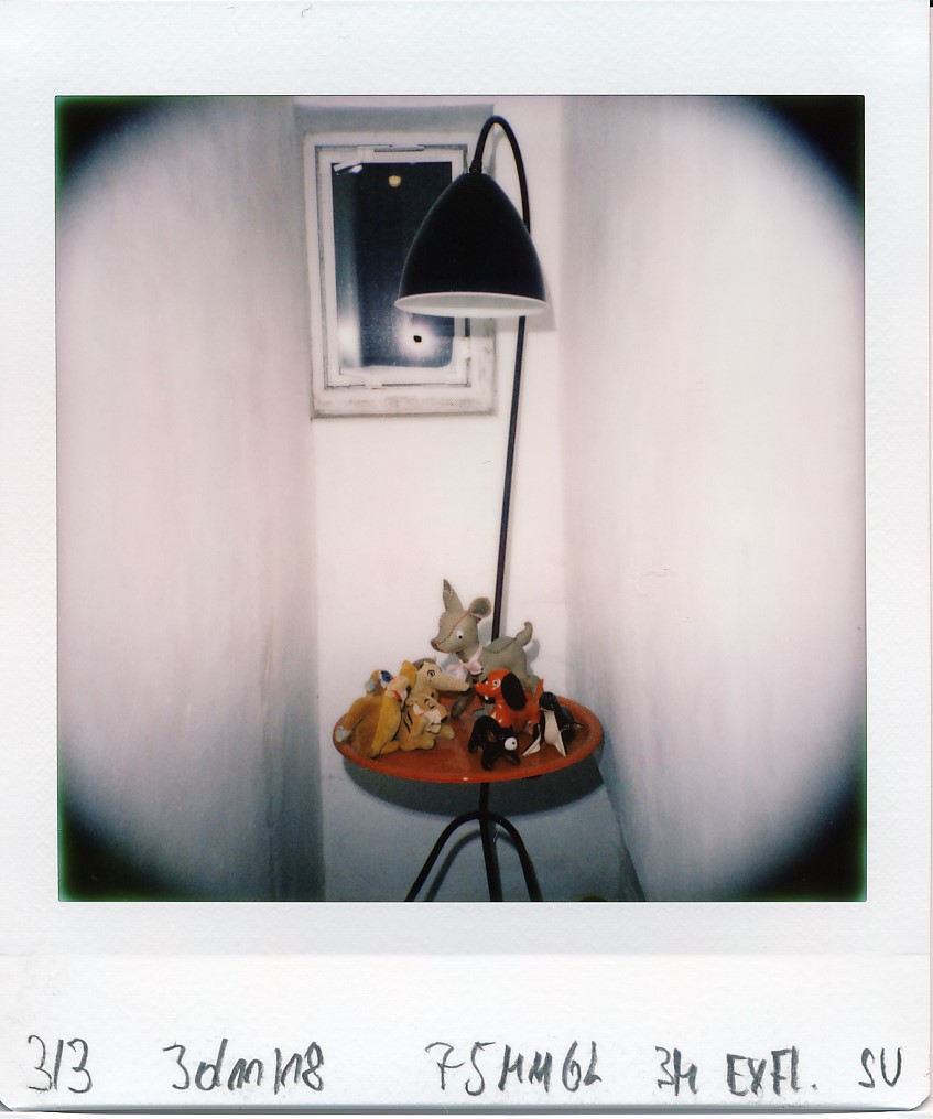 jpg/diana_instant_square_IMG_20181130_3002.jpg