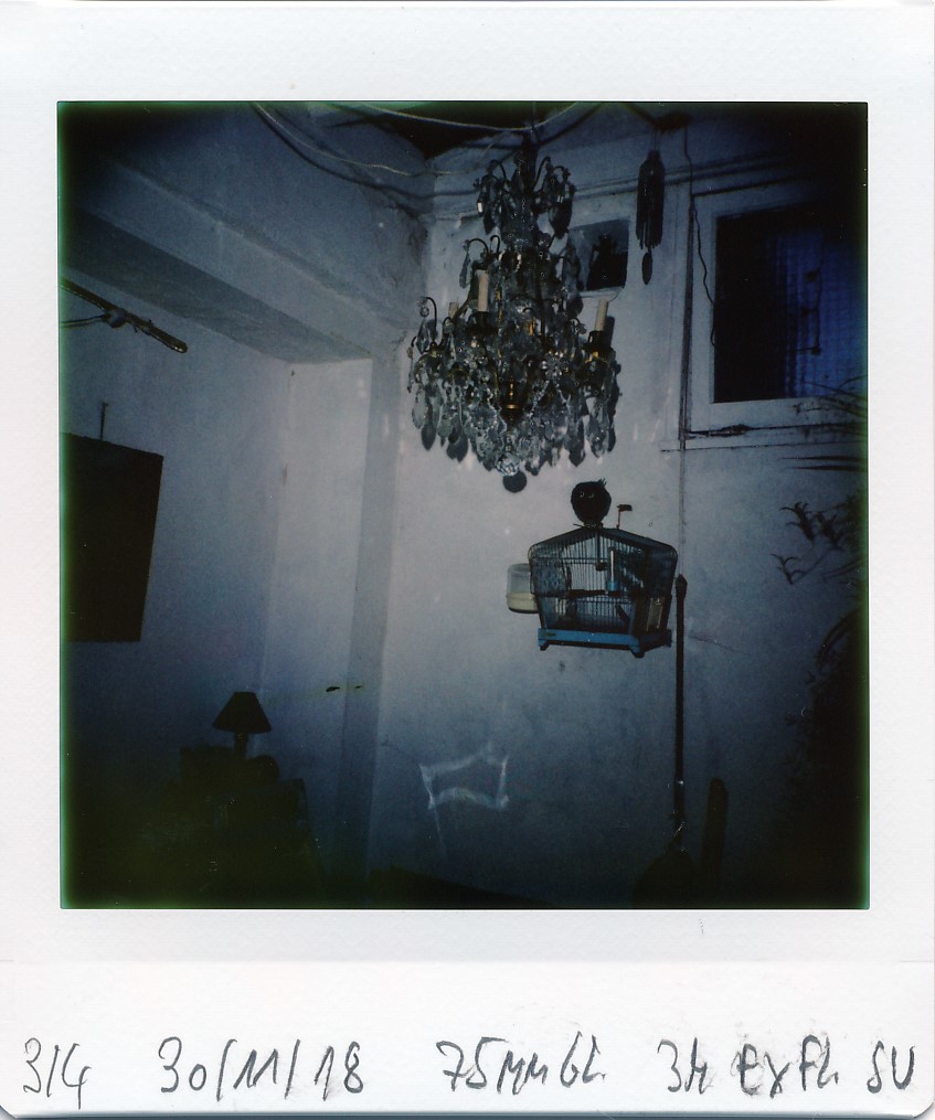 jpg/diana_instant_square_IMG_20181130_3004.jpg